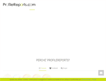 Tablet Screenshot of profilereports.com